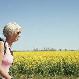 Photo Sur la route de Compostelle