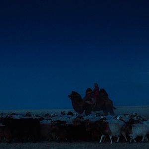 Photo La Femme des steppes, le flic et l'oeuf