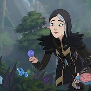 Photo Le Prince des dragons