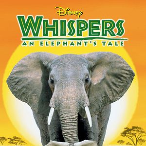 Photo Whispers : An Elephant's Tale