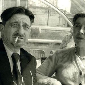 Photo Pingouin & Goéland et leurs 500 petits