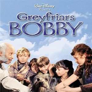 Photo Bobby des Greyfriars