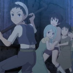 Photo Cagaster of an Insect Cage