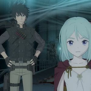 Photo Cagaster of an Insect Cage