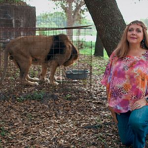 Photo Au royaume des fauves