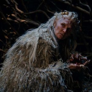 Photo Olwen Fouéré