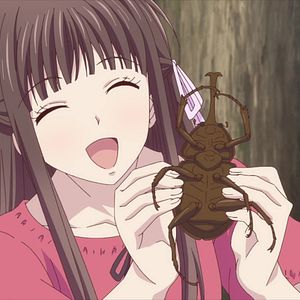 Photo Fruits Basket (2019)