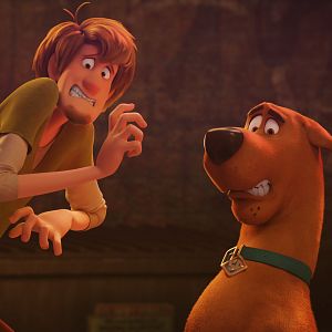 Photo Scooby !