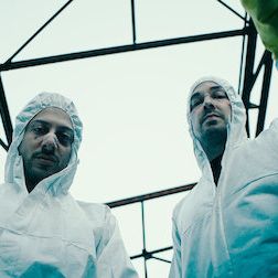 Photo Dogs Of Berlin