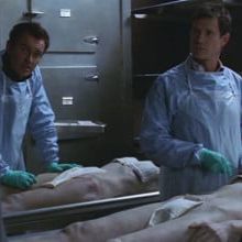 Photo Nip/Tuck