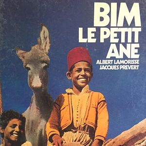 Photo Bim, le petit âne