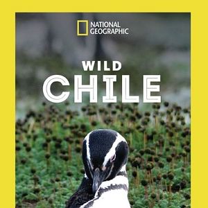 Photo Destination Wild : Chili
