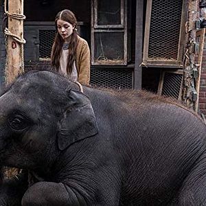 Photo Le Zoo
