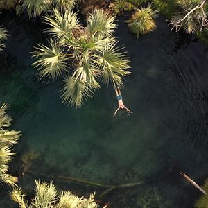 Photo Père et fils au bout du monde