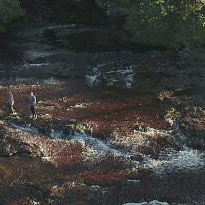 Photo Père et fils au bout du monde
