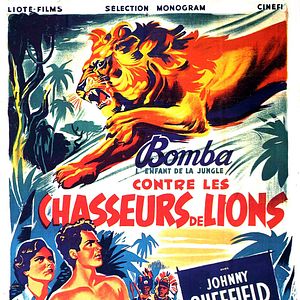 Photo Bomba contre les chasseurs de lions