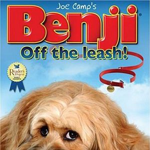 Photo Benji: off the leash !