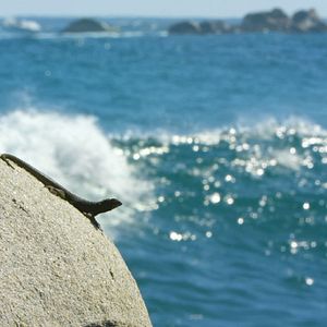 Photo Destination Wild : Chili