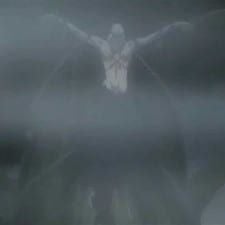 Photo D.Gray-man