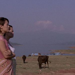 Photo Goodbye Mister Wong