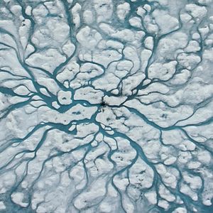 Photo David Attenborough : une vie sur notre planète