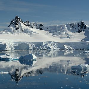 Photo David Attenborough : une vie sur notre planète