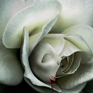 Photo Tell Me a Story