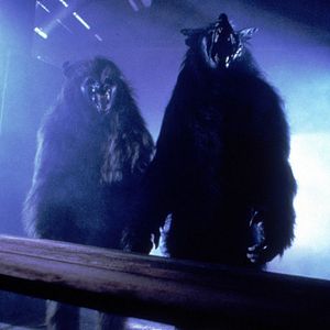 Photo La Malédiction du loup-garou