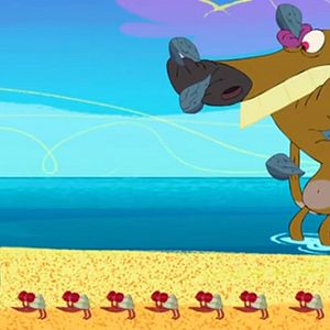 Photo Zig et Sharko