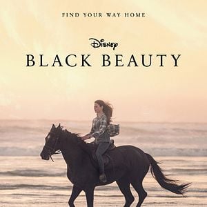 Photo Black Beauty