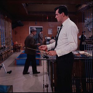 Photo Le Sport favori de l'homme