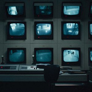Photo Sputnik - Espèce Inconnue