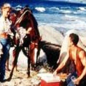 Photo Alerte à Malibu