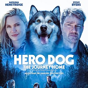 Photo Hero Dog: The Journey Home