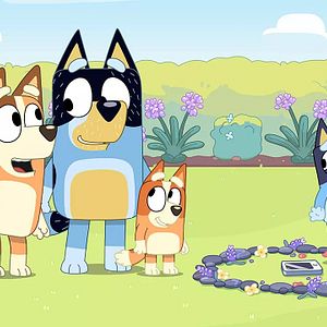 Photo Bluey