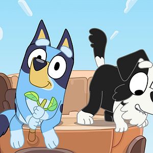 Photo Bluey