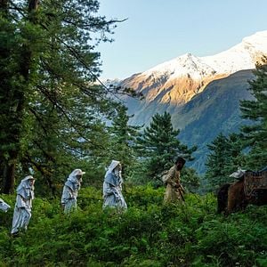 Photo Black Narcissus