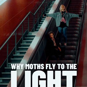 Photo Why Moths Fly to the Light?