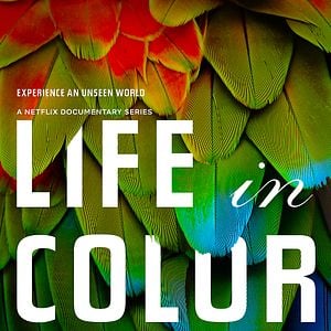 Photo La Vie en couleurs avec David Attenborough