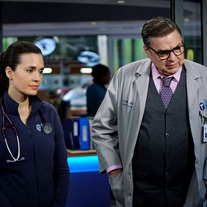 Photo Torrey DeVitto