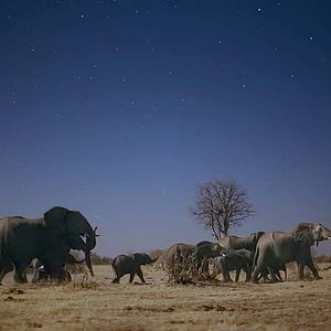 Photo Terre : les couleurs nocturnes