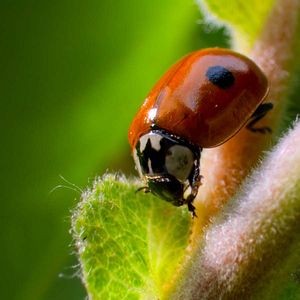Photo Tiny World