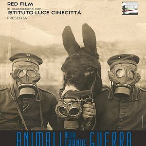 Photo Les Animaux de la Grande Guerre