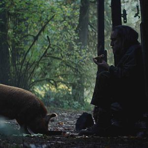 Photo Pig