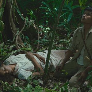Photo Tragic Jungle