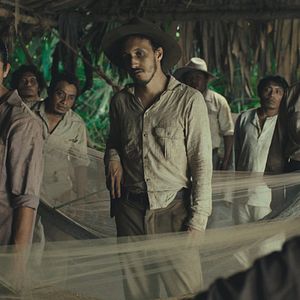 Photo Tragic Jungle