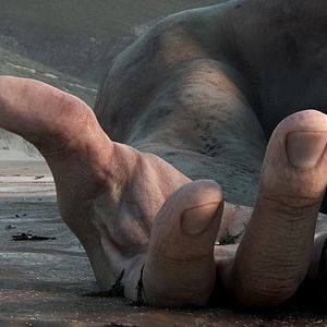 Photo Love, Death + Robots