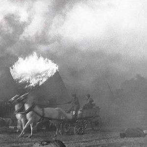 Photo The Painted Bird