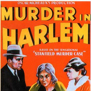 Photo Murder in Harlem