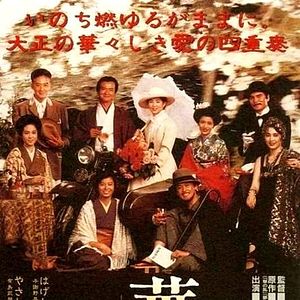 Photo A Chaos of Flowers